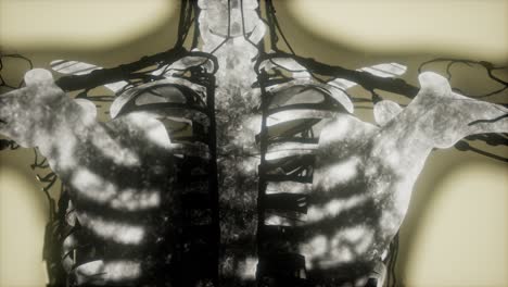 Menschliche-Skelettknochen-Scannen-Leuchtend